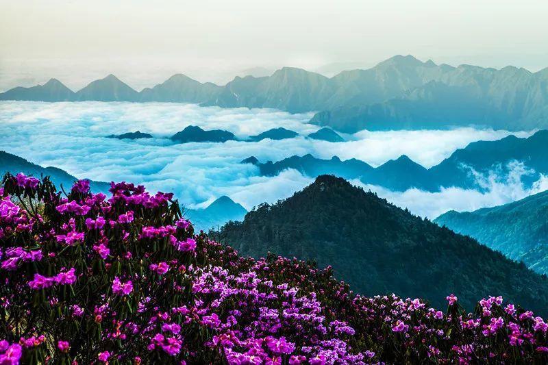 无聊找人聊聊天